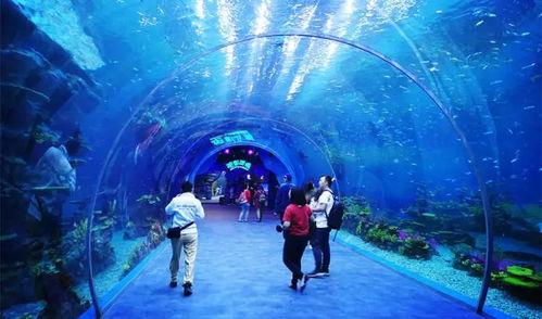 水上公园爆料视频播放,欢乐视频引网友热议  第2张